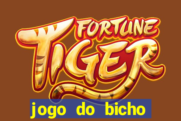 jogo do bicho banca ouro verde